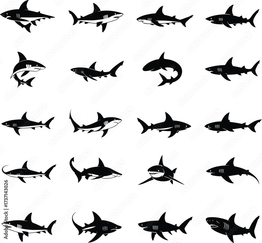 Fototapeta premium Shark Silhouette Vector Collection Illustration .