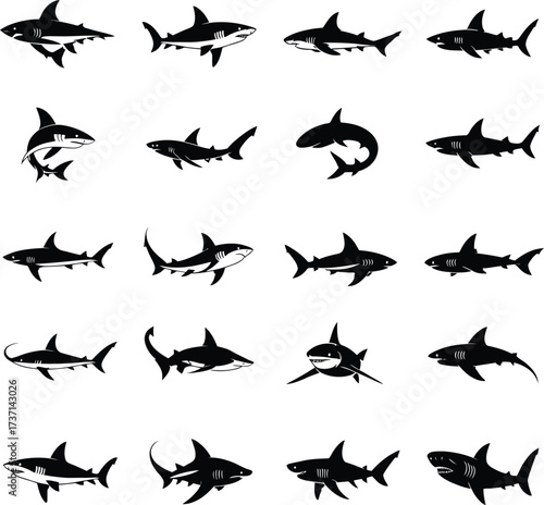 Shark Silhouette Vector Collection Illustration .