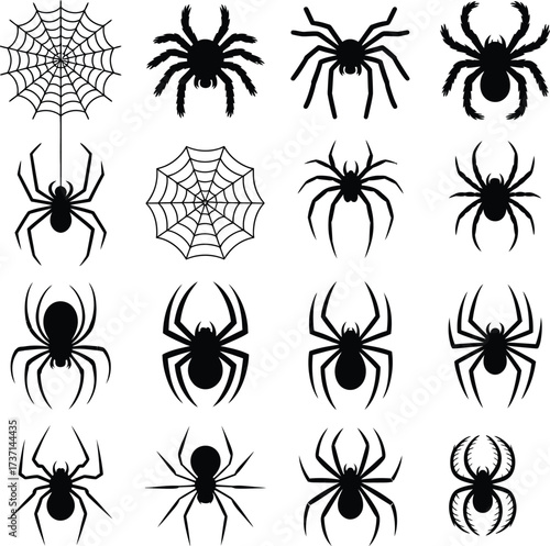 Spider Silhouette Vector Collection Illustration .