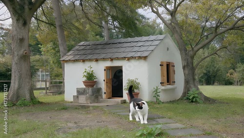 feline dwelling place for domesticated cats to reside and sleep within enclosed structure