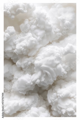 Fluffy Texture: A close-up perspective of a cloud-like structure, presenting a soft, dense, and irregular texture that invites the touch.