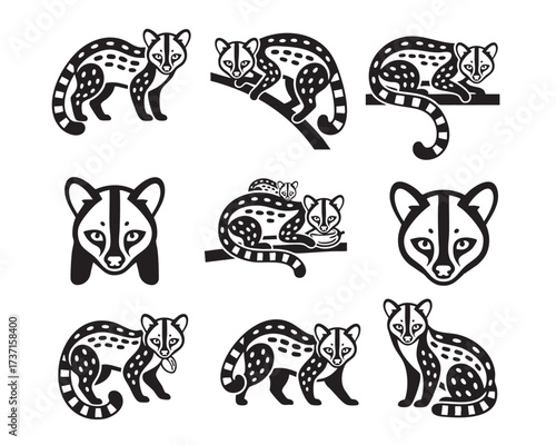 Stylized black and white vector set of Genets (viverrids) in various poses, featuring distinct spot and mask patterns. Wild Animals.