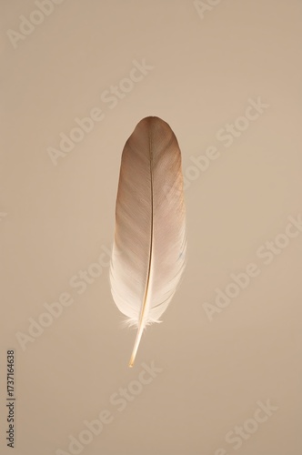 Ethereal Feather: An isolated feather, showcasing delicate textures and a gradient of colors against a soft backdrop, evokes a sense of lightness and freedom.