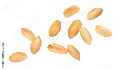 Photos peeled peanut on white background.