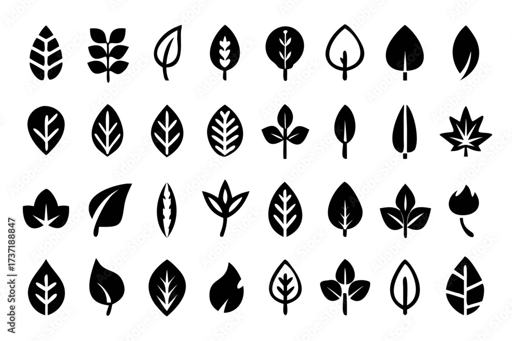 Obraz premium Set of various leaf for nature design elements