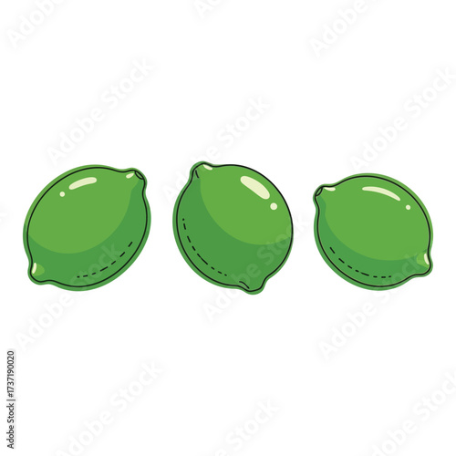 Three vibrant green limes freshly harvested delicious healthy citrus fruit isolated on white silhouette