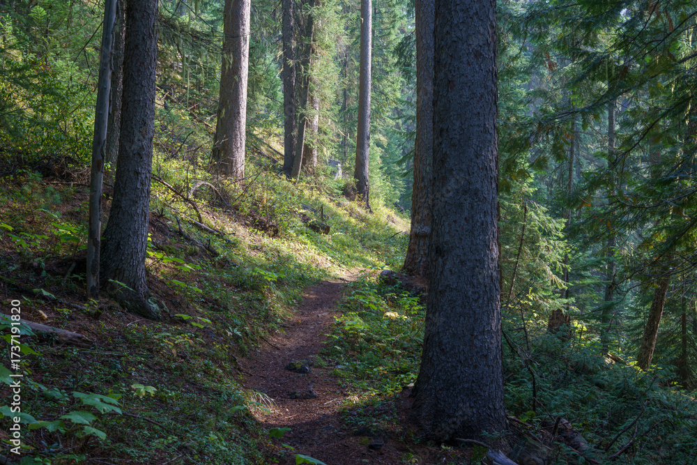 Naklejka premium Vinal Creek Trail #9