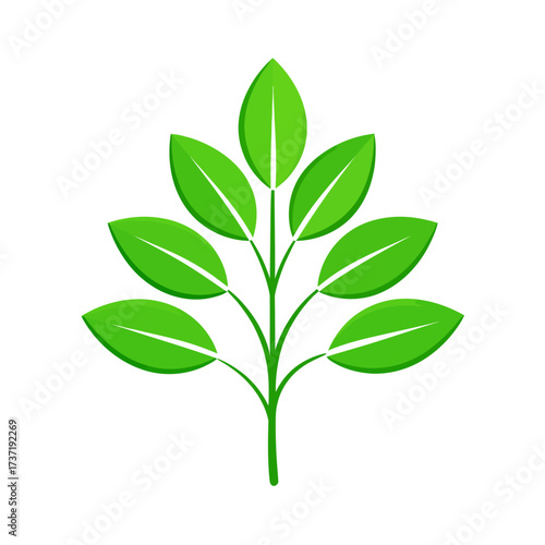 Green branch with leaves illustration representing growth and nature
