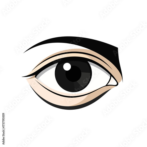 Illustration of a human eye with a black pupil and detailed eyelashes, representing vision and sight