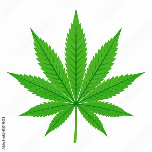 A vibrant green cannabis leaf illustration, symbolizing nature and botanical interest with its distinct serrated edges and central stem