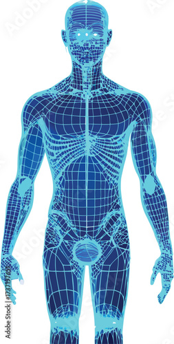 Human Wireframe Full Body Grid Network Technology Vector