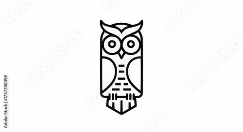 A owl alone on the white background