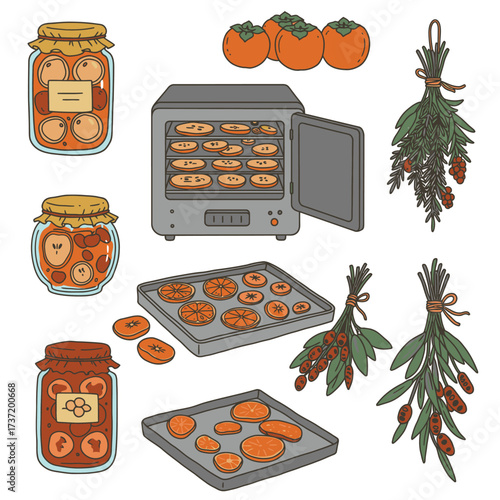 This vector illustration showcases food preservation methods, featuring canned fruits, fresh and dehydrated persimmons, and herb bundles.