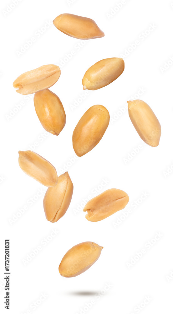 Obraz premium peanuts isolated on white background