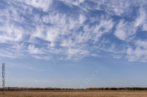 A fabulously beautiful and unusually bright sky with white clouds