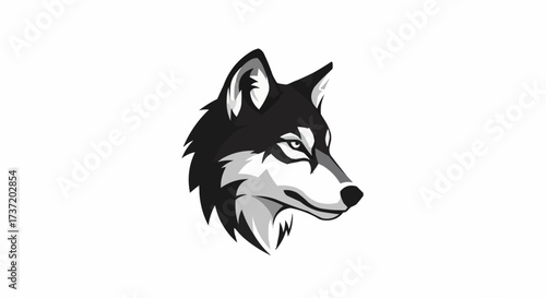 vector illustration of wolf