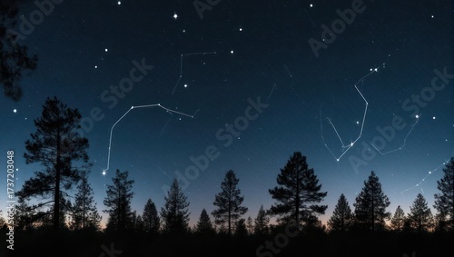 Night sky constellations over a silhouette forest