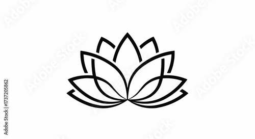vector illustration of a plant