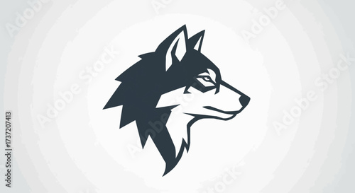 Head wolf alone in the night forest