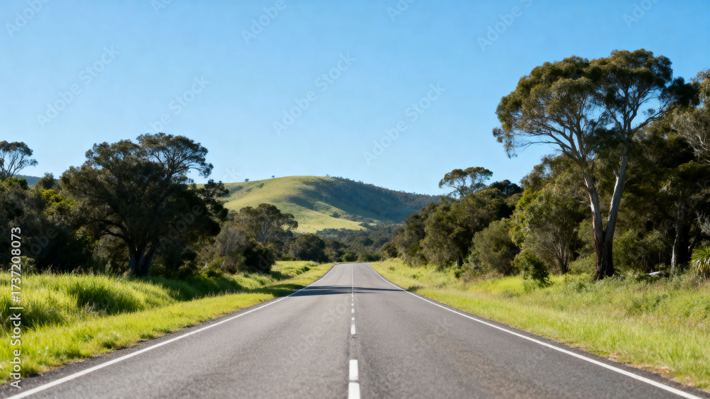 Fototapeta premium road in the desert