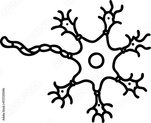 Neuron cell body axon and dendrites illustration for neuroscience education