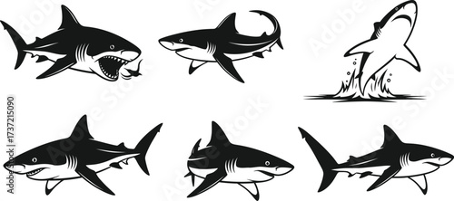 Shark vector illustration set marine predator collection for tattoo, print, emblem, logo, poster and design