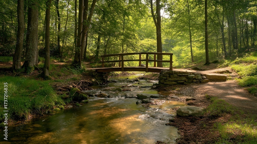 Obraz premium Wooden bridge over a clear stream in a lush forest. Sunlight filters through trees