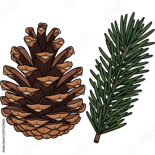Pine Cone & Fir Sprig