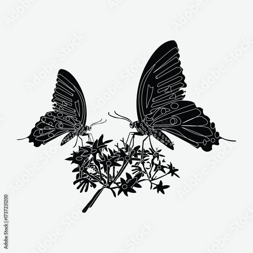 projapoti vector