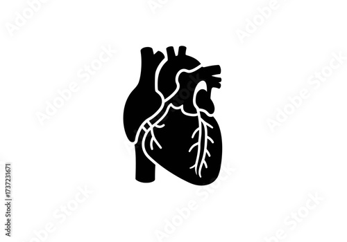 Black Silhouette of Human Heart with Veins and Arteries.