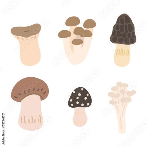 Mushroom
