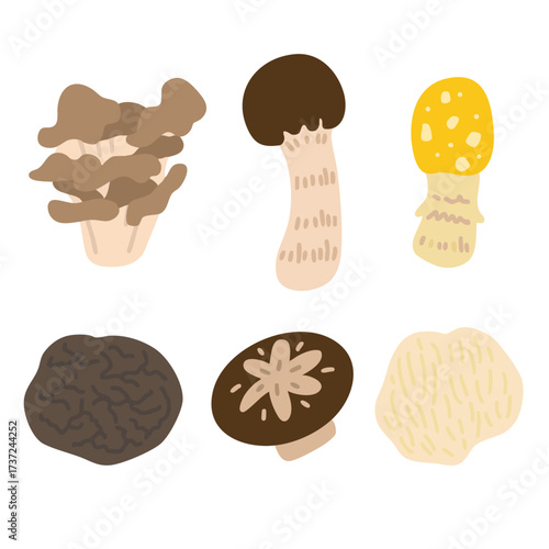 Mushroom