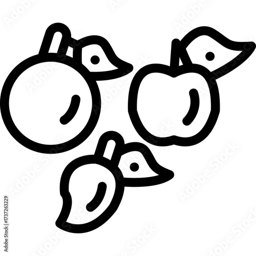 Fruit Icon