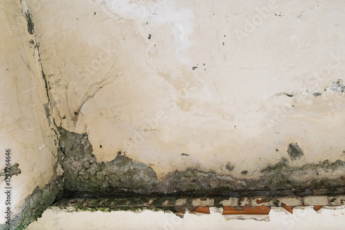 Damaged wall with mold and moisture stains