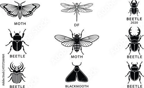 Insect vector illustration set, detailed moth, beetle, dragonfly, cicada, blackmoth designs, entomology collection, vintage insect drawings, isolated icons