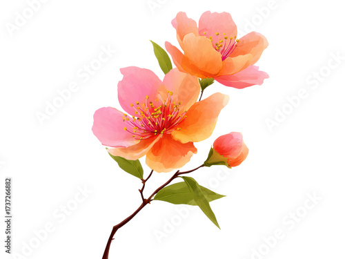 Pink orange blooming flowers branch with green leaves image, Isolated, Png Transparent Background