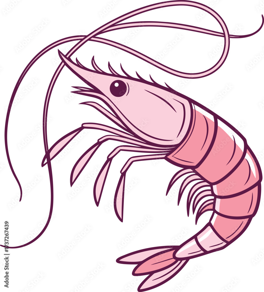 Fototapeta premium A vibrant pink shrimp isolated on white background, showcasing the beauty of marine life and the delicacy of seafood cuisine