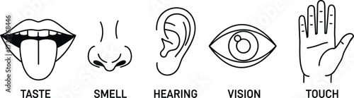 Five human senses icon set Mouth, nose, ear, eye, and hand in transparent background