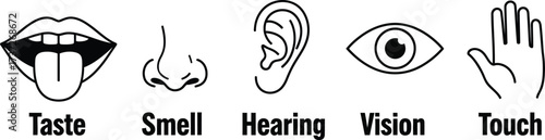 Five Senses Icon Set, Mouth, Nose, Ear, Eye, Hand, Line Art on Transparent Background