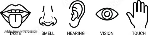 Five Senses Line Art Taste, Smell, Hearing, Vision, Touch on Transparent Background