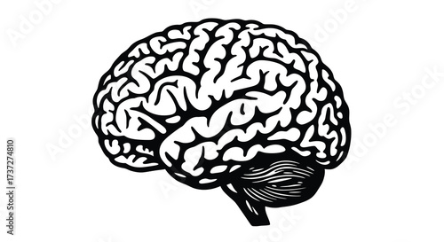 Detailed illustration of a human brain in black and white style