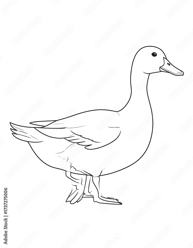 Obraz premium Simple duck outline drawing