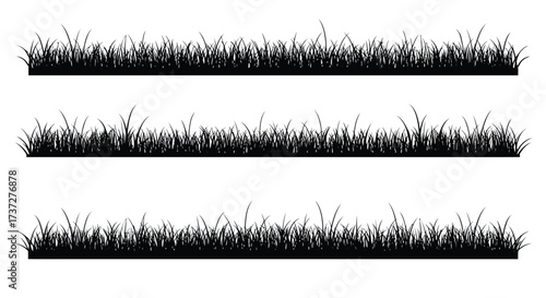 Three rows of dark green grass against a plain white background