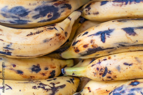 Raw Organic Fresh Plantains ready to Cook