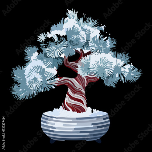 Intense Black Background Art of a Frozen Bonsai-Style Desert Plant Covered in White Frost and Snow	