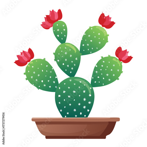 Prickly Pear Cactus with Bright Red Flowers Growing in a Terracotta Pot, Representing Desert Blooms and Beauty	