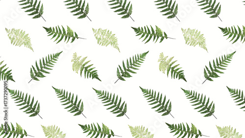 Seamless Green Fern Leaf Pattern on White Background