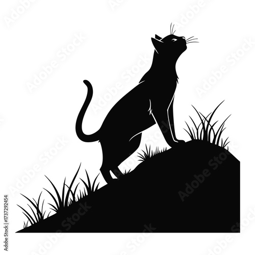 black silhouette of a cat on a hill