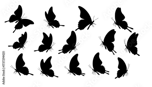 A clean vector set of butterfly butterfly silhouettes in various poses on a clean white background vector style
