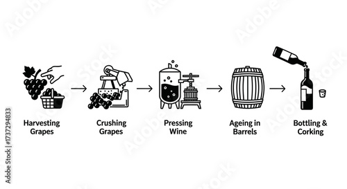 A simple black and white infographic illustrating the five stages of the winemaking process from harvesting grapes to bottling the final product.